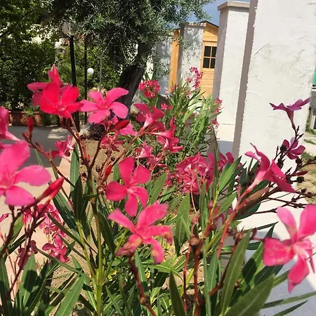 Cozy House In With Private Garden *