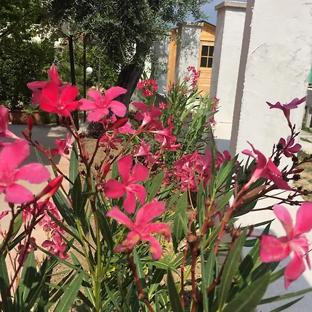 Cozy House In With Private Garden Holiday home *