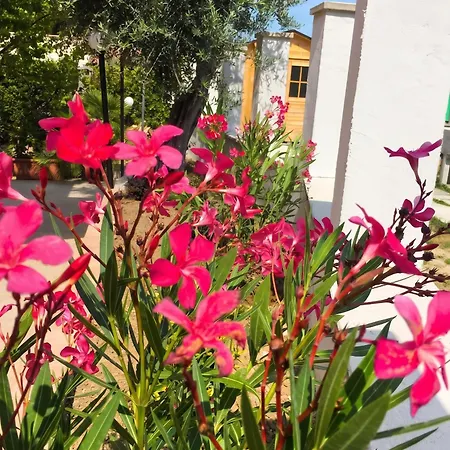 Cozy House In With Private Garden Chieti