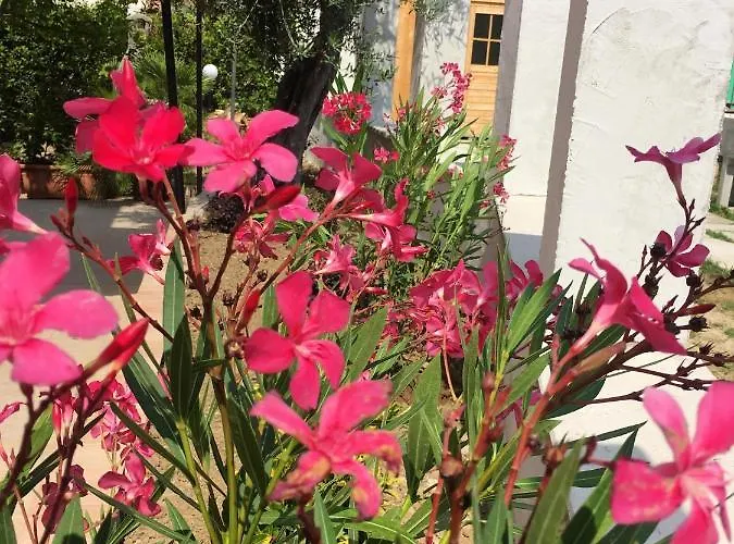 Cozy House In With Private Garden *